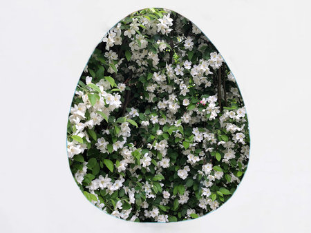 Floral background. Egg on a white background. Easter egg