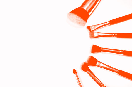 Various makeup brushes isolated over white background. Lush Lava