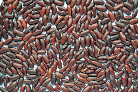 Rad beans stripes isolated in white background