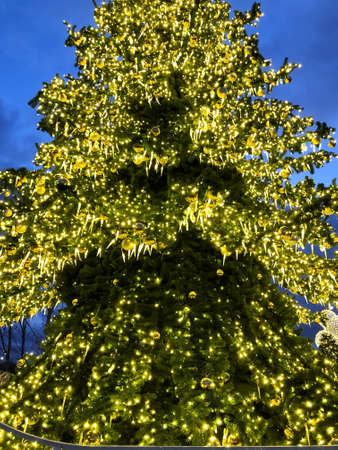 Decorating Christmas tree close up use for Christmas and New years celebration backgroundの写真素材