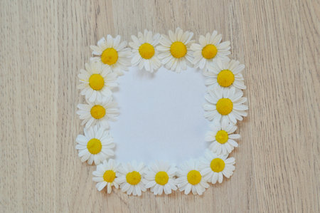 Chamomiles on a light wooden background with copy space.