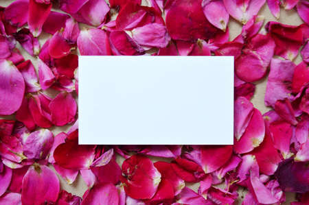 White business card lies on a texture of pink rose petals.の写真素材