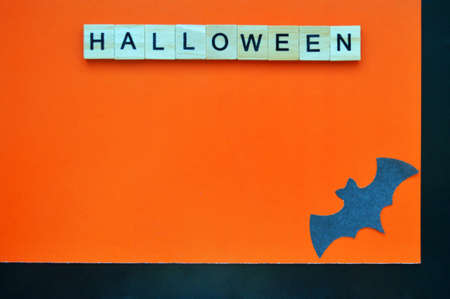 Black paper bat lies on orange-black background. Word halloween of wooden blocks with lettersの写真素材