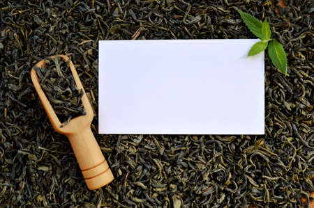 White mockup, wooden spoon and fresh mint leaves on leaf tea backgroundの写真素材