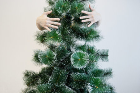Female hands hugging a fir tree on a white background.