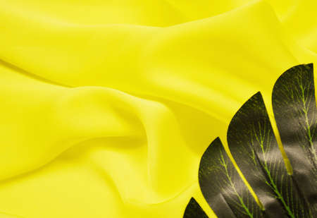 Tropical palm leaves with epty space in the middle. flat lay, top view.の写真素材