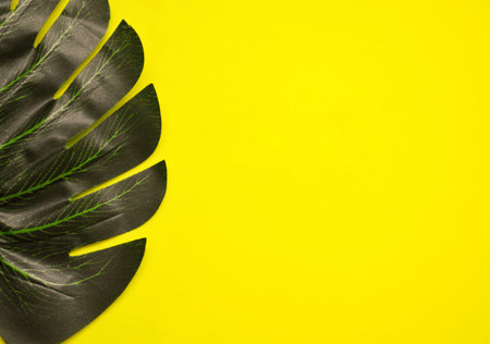 Tropical palm leaves with epty space in the middle. flat lay, top view.