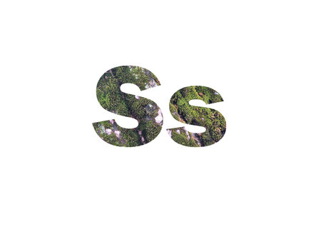 tree bark with green moss. Shot through the cut-out silhouette of the letter S.