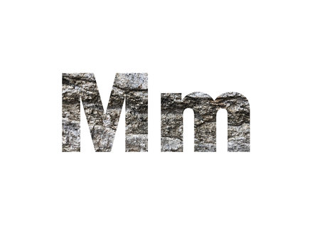 gray tree bark texture. Shot through the cut-out silhouette of the letter M.の写真素材