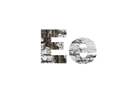 Birch bark surface background image. Shot through the cut-out silhouette of the letter Eの写真素材