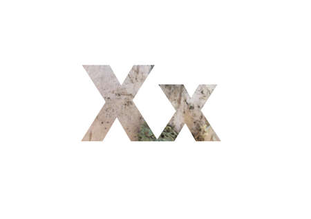 Birch bark surface background image. Shot through the cut-out silhouette of the letter Xの写真素材