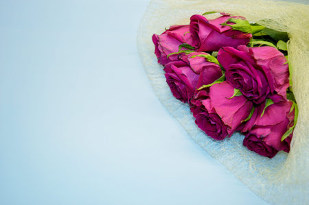 Bouquet of red roses lies on a blue background.の写真素材