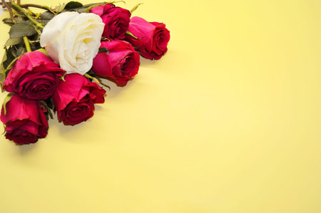 Bouquet of red roses lies on a yellow background.の写真素材