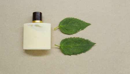 Bottle with beige gel and two leaves from wood on a craft background. Natural Cosmetic Conceptの写真素材