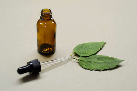 Empty brown glass bottle with pipette and two leaves from wood on a craft background. Natural Cosmetic Conceptの写真素材