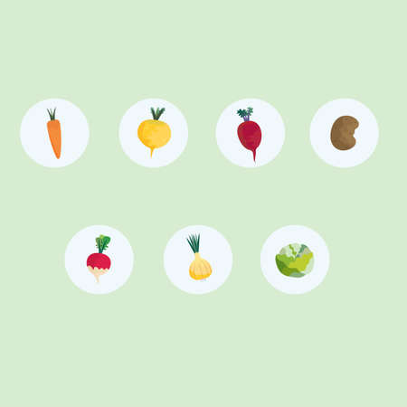 highlights vegetables, vector illustration, highlights setのイラスト素材