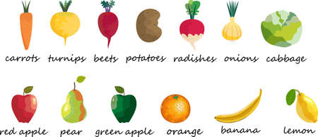 vector illustration of a large set of bright vegetables and fruitsのイラスト素材