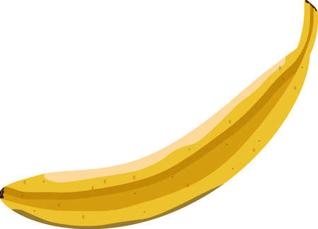 vector illustration of a bright tropical banana on a white backgroundのイラスト素材