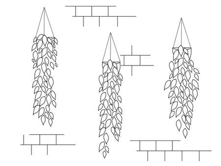 Long hanging plants on a white wall. Vector illustration.のイラスト素材