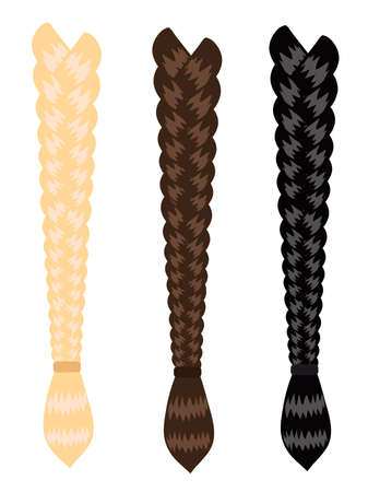 Female various braids on a white background. Vector illustration.のイラスト素材