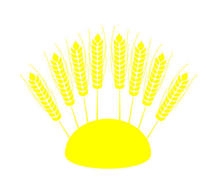 Ears of wheat in the sun on a white background. Vector illustration.のイラスト素材