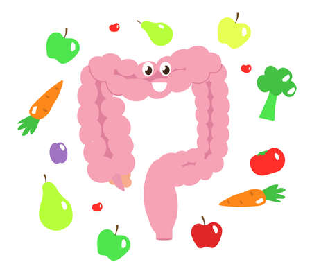 Intestines and vegetables on a white background. Vector illustration.のイラスト素材