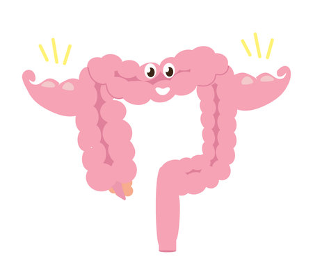 Strong intestines on a white background. Cartoon. Vector illustration.のイラスト素材