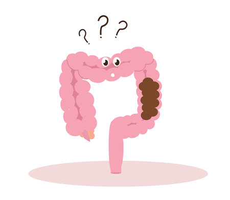 Intestine white background. Constipation. Vector illustration.