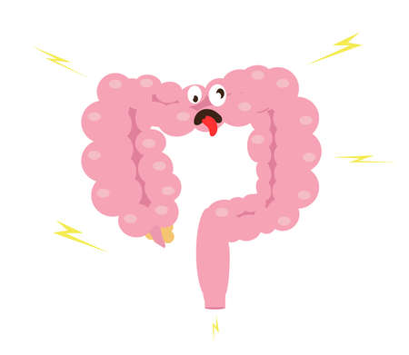 Intestines on a white background. Bloating. Vector illustration.のイラスト素材