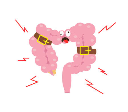 Intestines on a white background. Bloating. Vector illustration.のイラスト素材