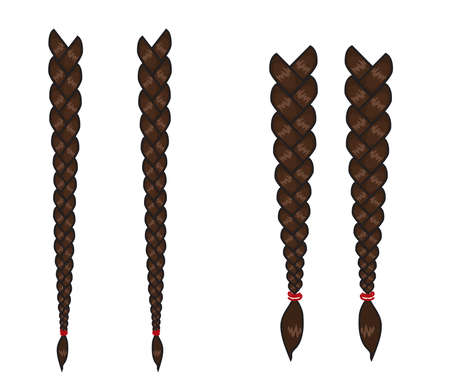 Female long braids on a white background. Vector illustration.のイラスト素材
