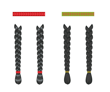 Women's black braids on a white background. Cartoon. Vector illustration.