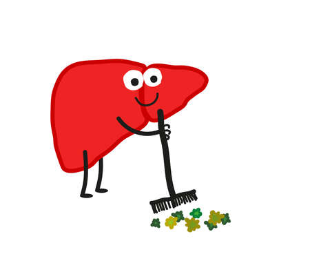 The human liver gets rid of toxins. Cartoon. Vector illustration.のイラスト素材