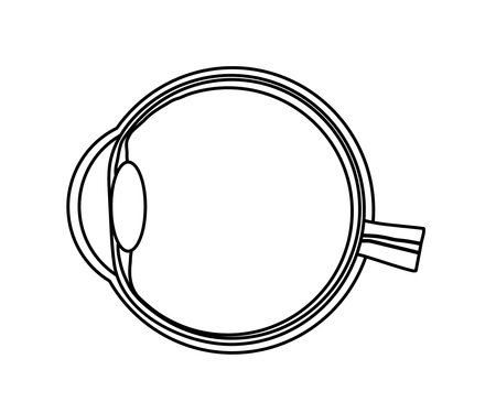 Anatomical structure of the human eye. Silhouette. Vector illustration.のイラスト素材