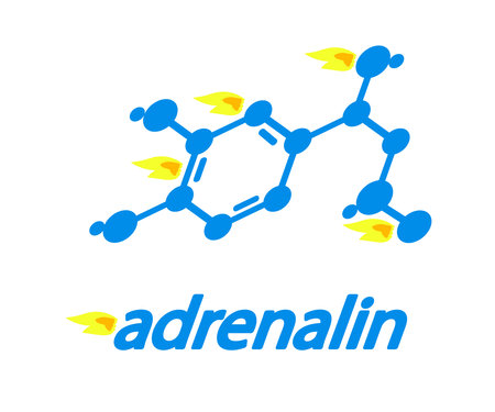 Molecular formula of adrenaline. Symbol. Vector illustration.のイラスト素材
