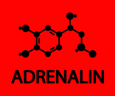 Molecular formula of adrenaline. Symbol. Vector illustration.のイラスト素材