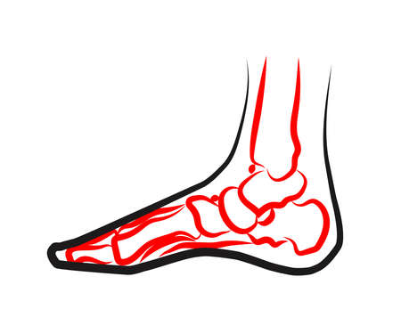 Human leg and joints. Symbol. Vector illustration.のイラスト素材