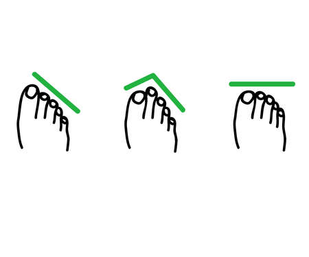 Human legs and variants of the structure of the feet. Symbol. Vector illustration.のイラスト素材