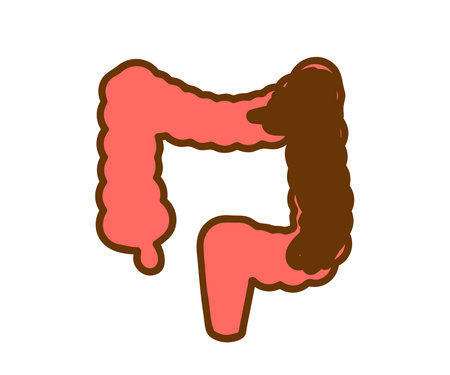 Large intestine on a white background. Feces. Vector illustration.