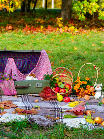 Autumn picnic for children in nature. Autumn picnic in the park. Active lifestyle concept. Bedspread, old clock, autumn leaves, apples, fruit basket, soft toy on picnic plaid on nature yellow red leaves. Active lifestyle concept. Forest picnic. Golden autumn. High quality photoの写真素材