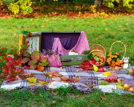 Autumn picnic for children in nature. Autumn picnic in the park. Active lifestyle concept. Bedspread, old clock, autumn leaves, apples, fruit basket, soft toy on picnic plaid on nature yellow red leaves. Active lifestyle concept. Forest picnic. Golden autumn. High quality photoの写真素材