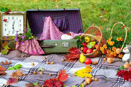Autumn picnic for children in nature. Autumn picnic in the park. Active lifestyle concept. Bedspread, old clock, autumn leaves, apples, fruit basket, soft toy on picnic plaid on nature yellow red leaves. Active lifestyle concept. Forest picnic. Golden autumn. High quality photoの写真素材