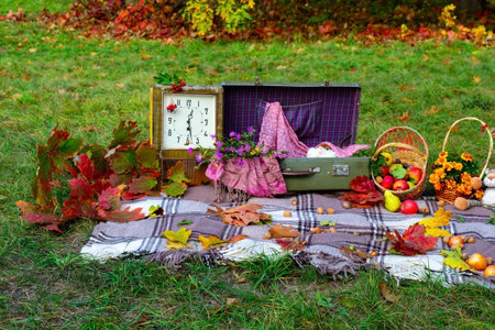 Autumn picnic for children in nature. Autumn picnic in the park. Active lifestyle concept. Bedspread, old clock, autumn leaves, apples, fruit basket, soft toy on picnic plaid on nature yellow red leaves. Active lifestyle concept. Forest picnic. Golden autumn. High quality photoの写真素材