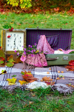 Autumn picnic for children in nature. Autumn picnic in the park. Active lifestyle concept. Bedspread, old clock, autumn leaves, apples, fruit basket, soft toy on picnic plaid on nature yellow red leaves. Active lifestyle concept. Forest picnic. Golden autumn. High quality photoの写真素材