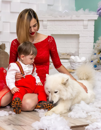 Family petting a dog. Family photo portrait. Mom and her son and a white dog in red clothes celebrate the Chistmas, new year. Happy young mother, her child and a dog in a cozy dark living room on Christmas eve. Celebrating Xmas at home. Winter evening with family, a kid and a dog. A little boy in a red pents. Family looking at camera holding many gifts boxes celebrating happy New Year. Merry Christmas presents. Christmas conceptの写真素材