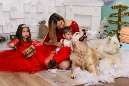 Family photo portrait. Mom and her two children and two white dogs in red clothes celebrate the Chistmas, new year. Happy young mother and her daughter, son and dogs in a cozy dark living room on Christmas eve. Celebrating Xmas at home. Winter evening with family, kids and dogs. A little girl in a red dress is holding a gift. Family looking at camera holding many gifts boxes celebrating happy New Year. Merry Christmas presents. A child in a red dress holds a gift box.Christmas conceptの写真素材