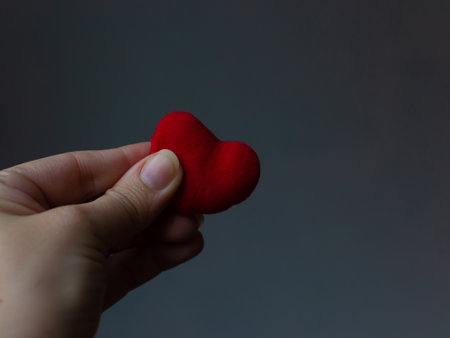 Red heart in womans hand on grey background. The concept of charity, love, donate and helping hand. International cardiology day. A woman gives a red heart to the mans handsの写真素材