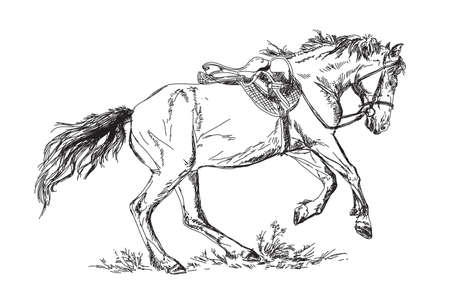 Vector Mustang  in gallopのイラスト素材