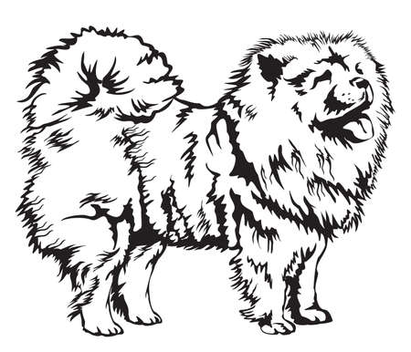 Decorative black and white Dog  Chow Chow vector illustrationのイラスト素材