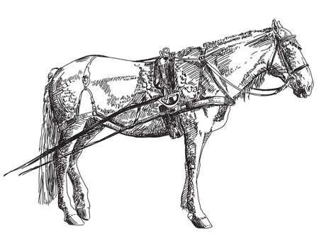 Horse in harness hand drawing illustration on white backgroundのイラスト素材